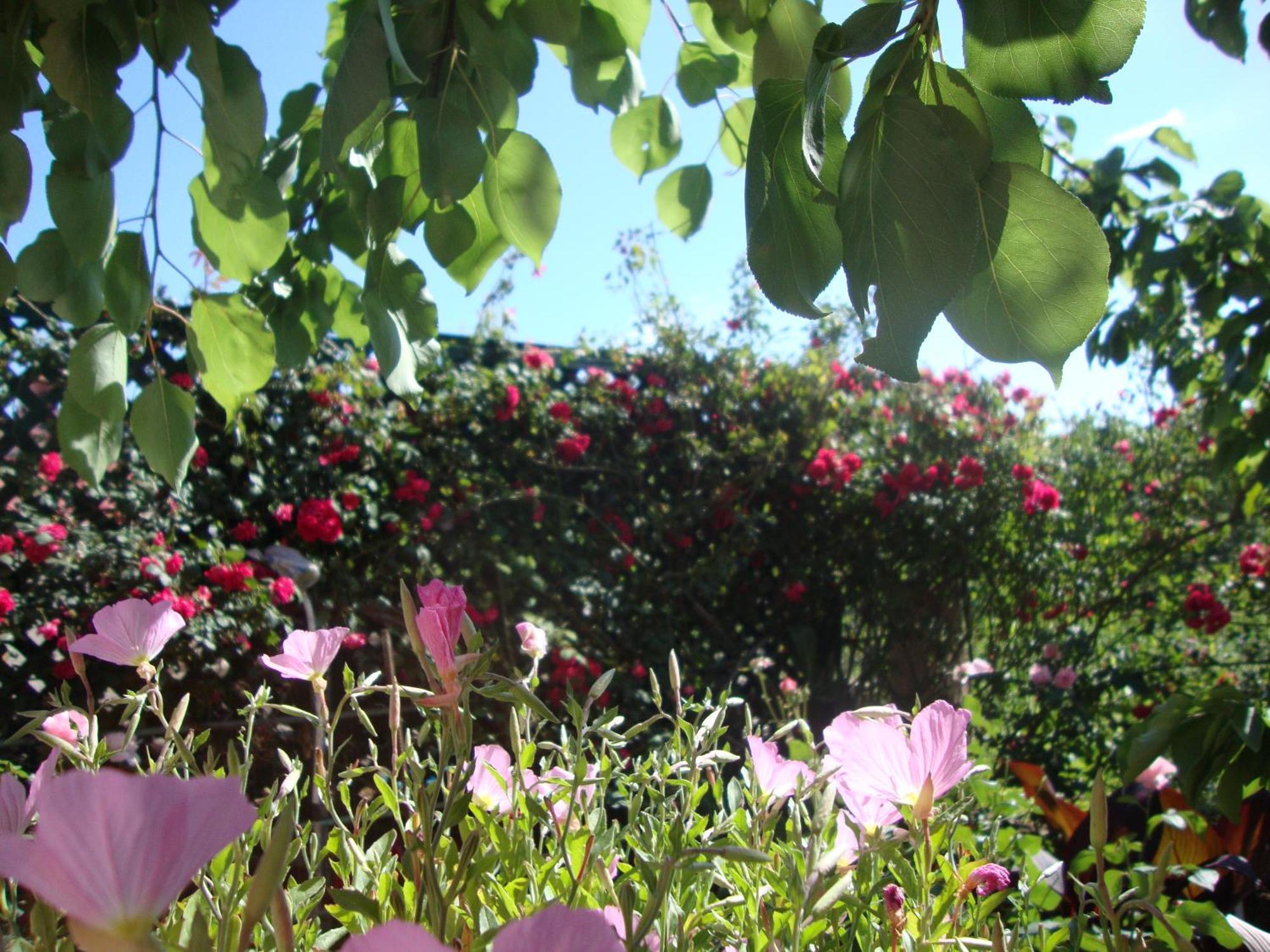Appartement Tasia *